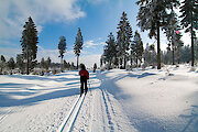 Langlaufen im Bayerischen Wald